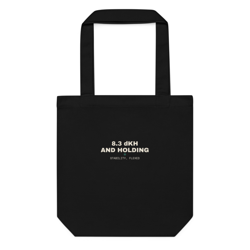 8.3 dKH AND HOLDING Tote mockup