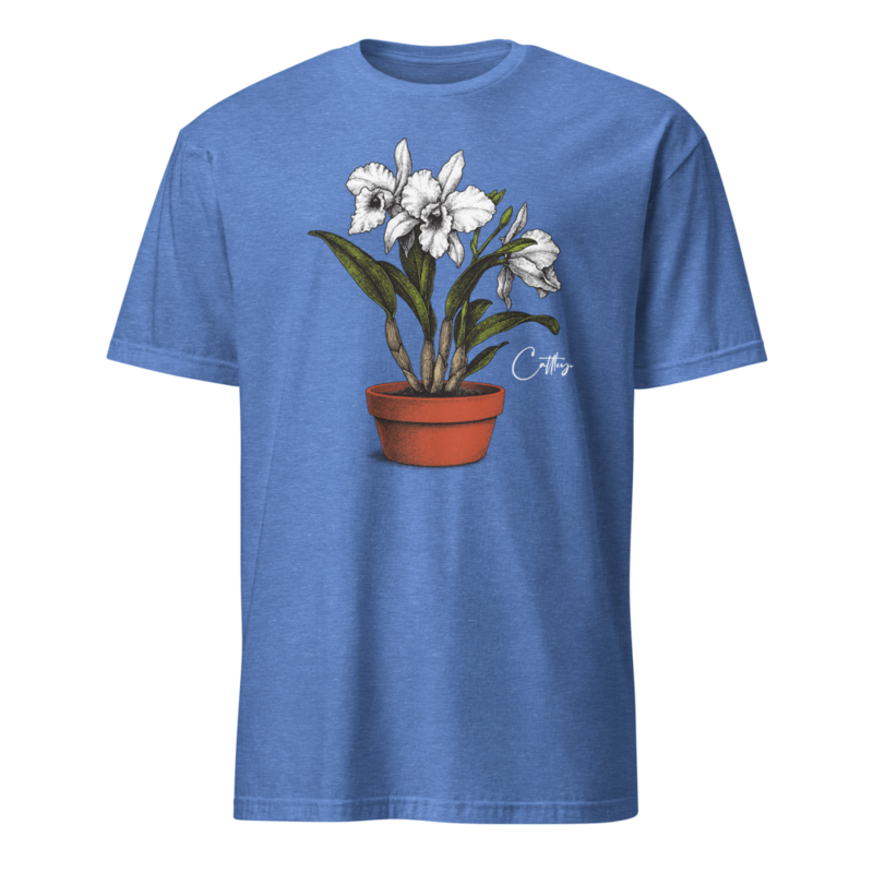 Cattleya Shirt v1