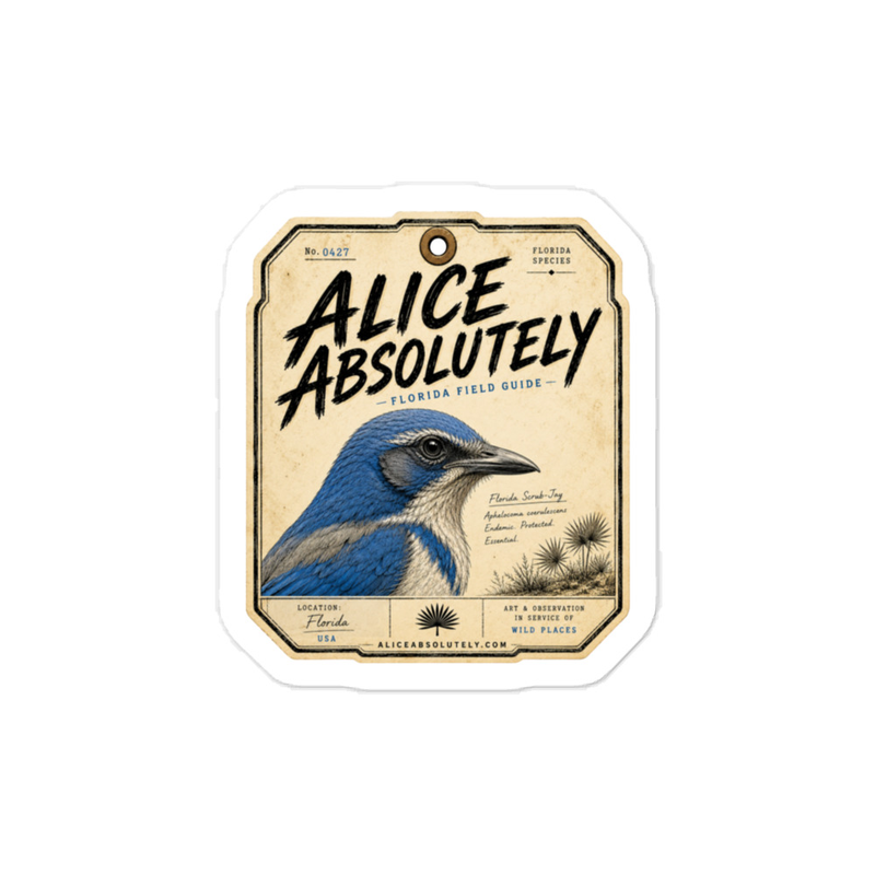 Florida Scrub-Jay Vinyl Decal