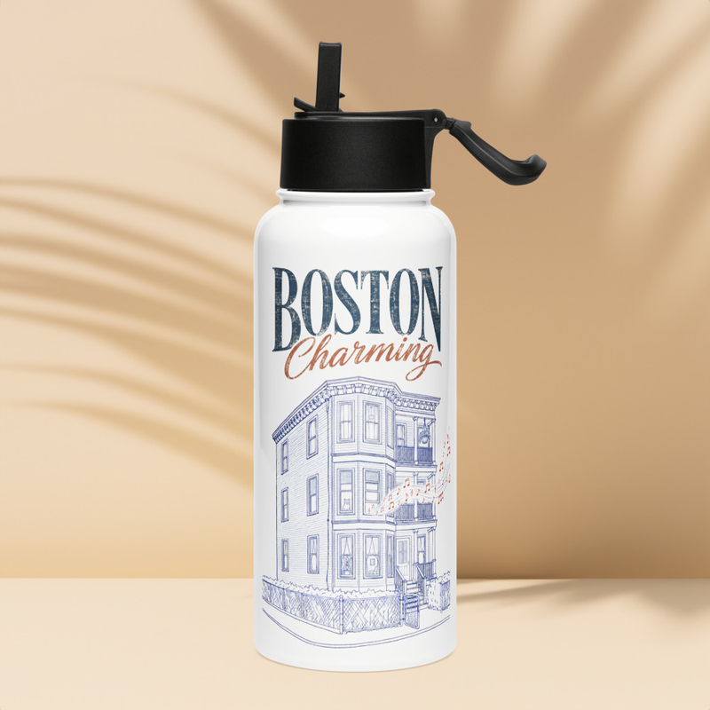 Boston Charming Stainless steel water bottle with a straw lid