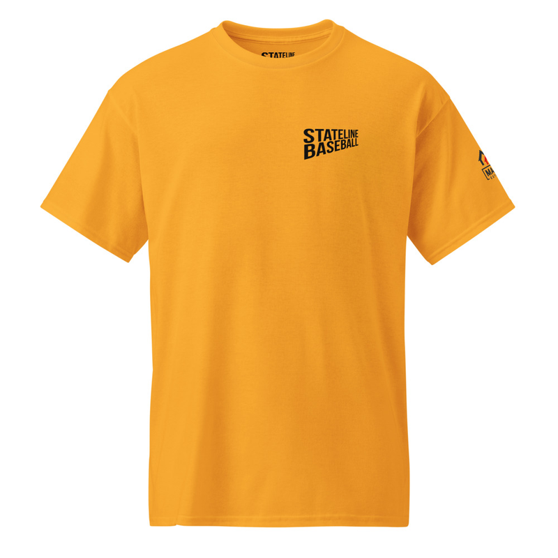 Coach Shirt - Light - DryBlend® T-Shirt