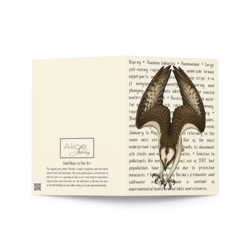 Osprey Greeting Card