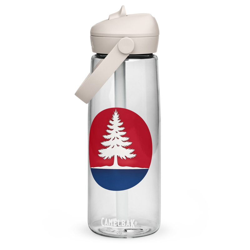 Flip straw water bottle