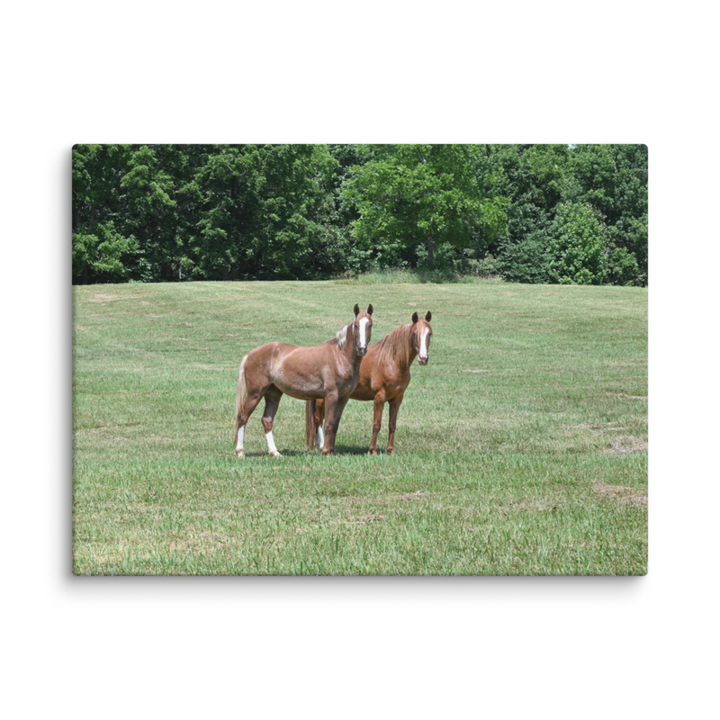 Gentle Souls Canvas