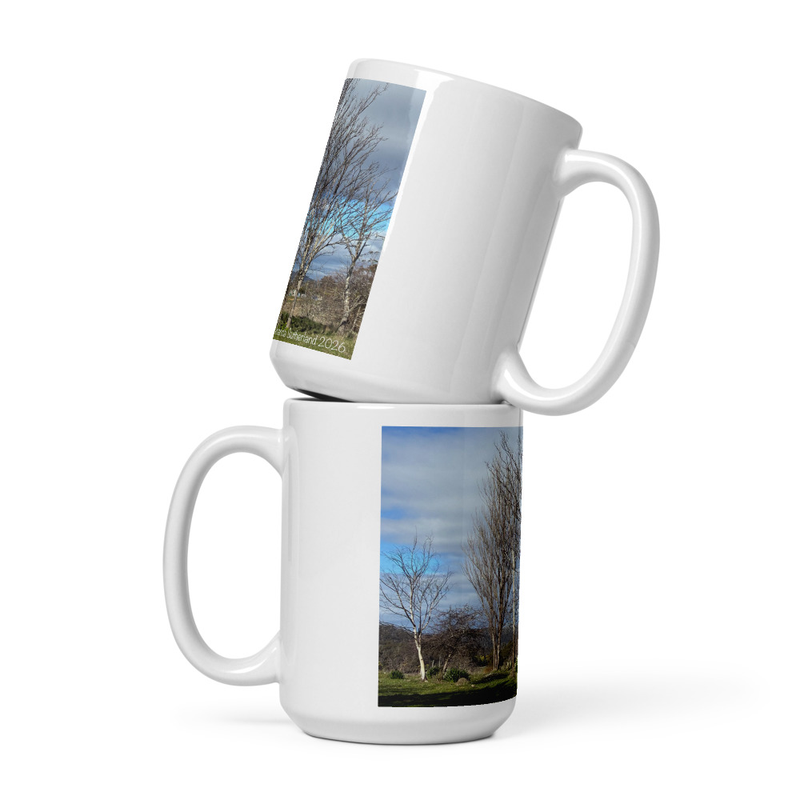 Hidden in Plain Sight Mug – 15 oz, White