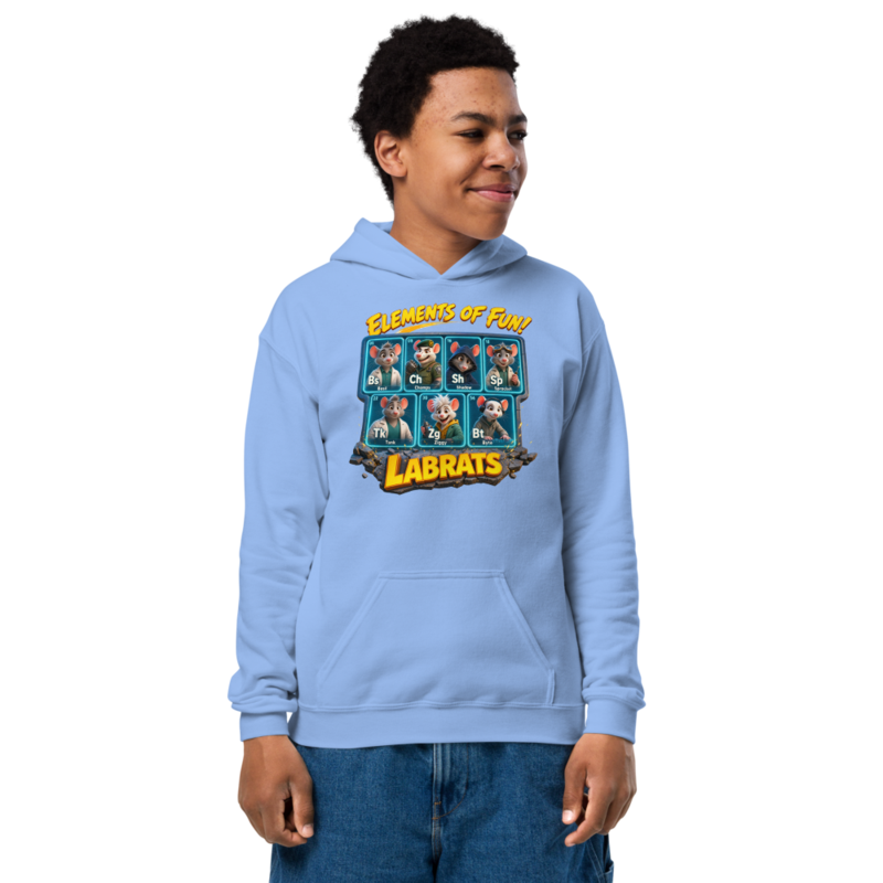 Elements Of Fun Kids Hoodie
