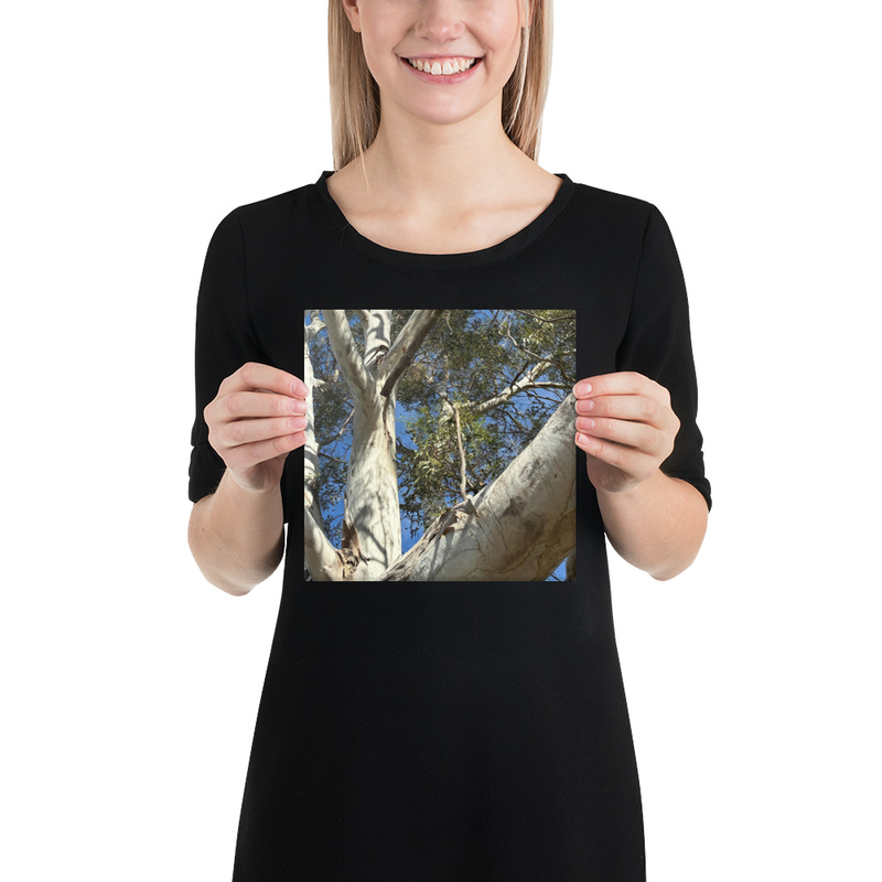 Choose Your Path Canvas Print – 8″×8″