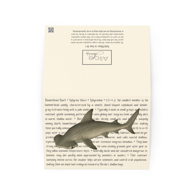 Bonnethead Shark Greeting Card