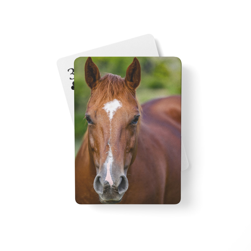 Quiet Majesty playing cards
