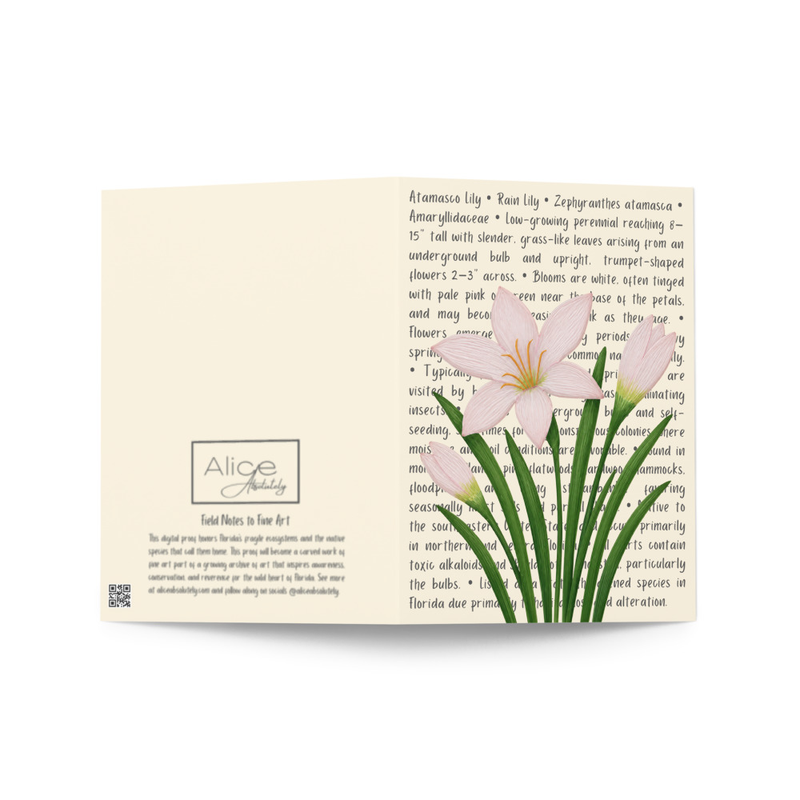 Rain Lily Greeting Card