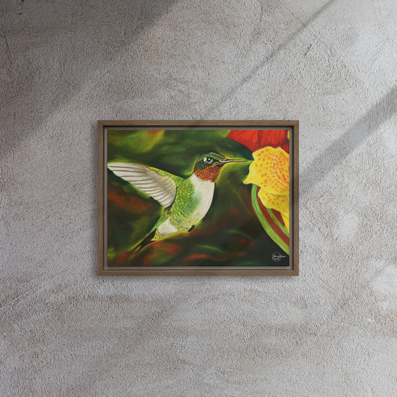 Hummingbird 2 Framed Canvas – 12″×16″, Brown