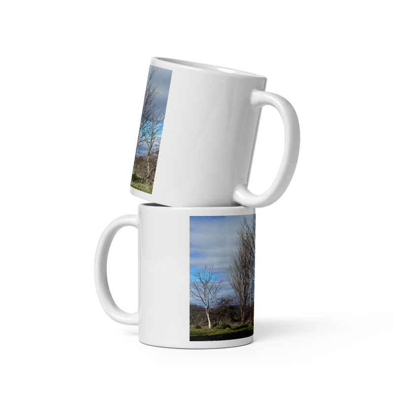 Hidden in Plain Sight Mug