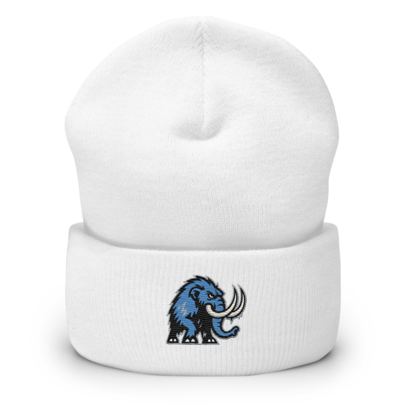 Twin Cities Tundra - Cuffed Beanie – One size, White