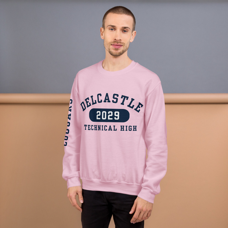 Sweatshirt - Class of 2029 (Navy Font) – S, Light Pink