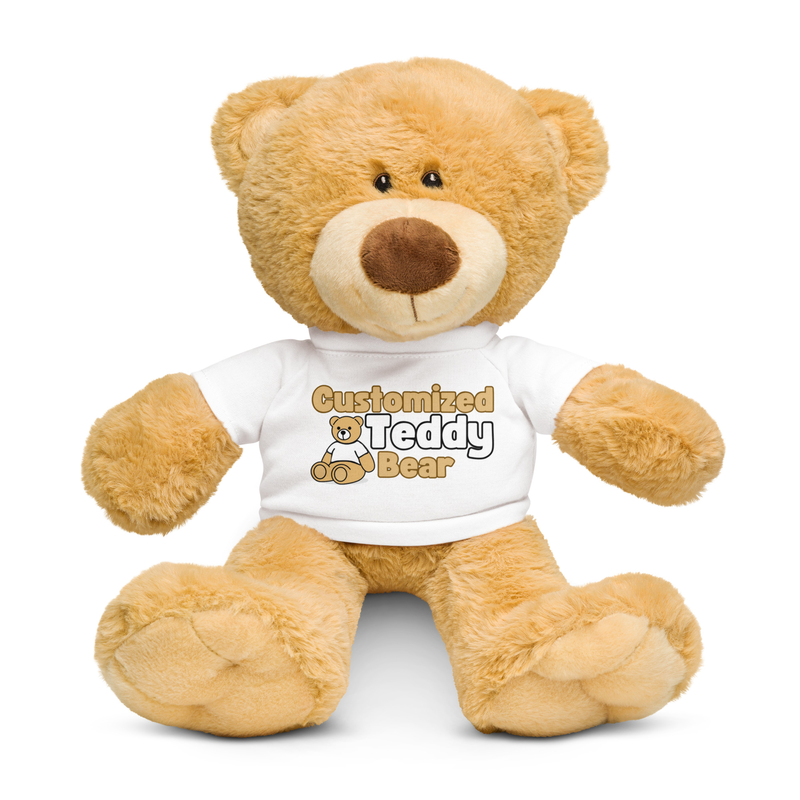 Teddy bear with a t-shirt