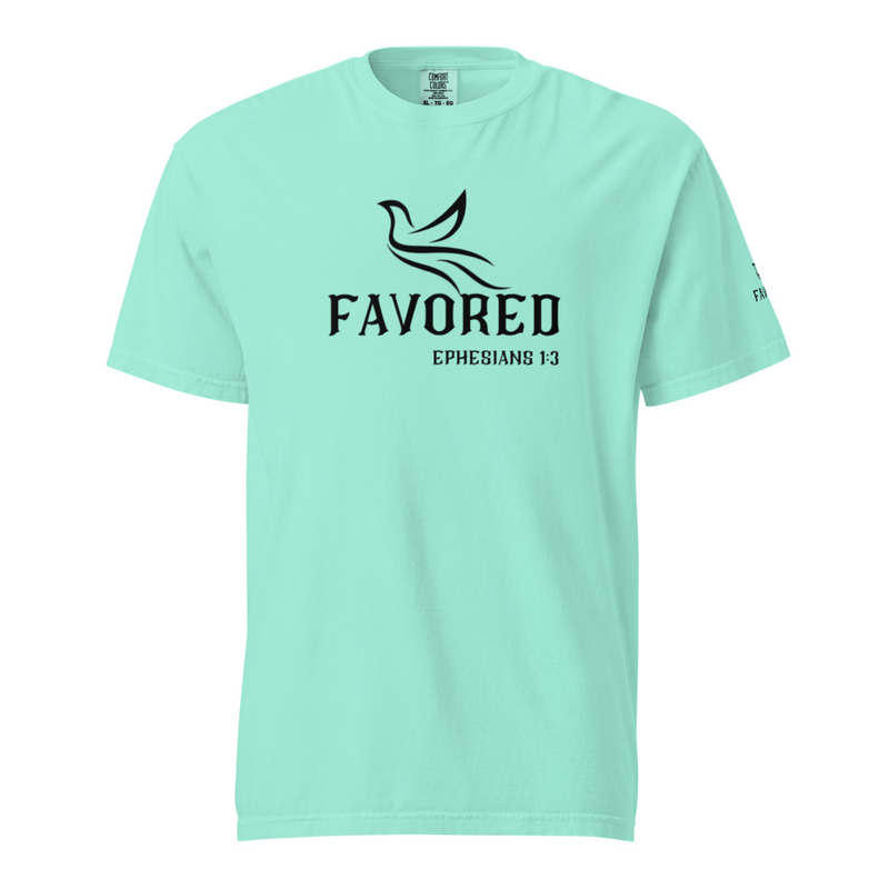 FAVORED Unisex garment-dyed heavyweight t-shirt – M, Chalky Mint