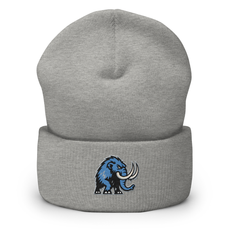 Twin Cities Tundra - Cuffed Beanie – One size, Heather Grey
