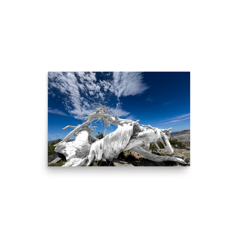 Pegasus Ralston Peak