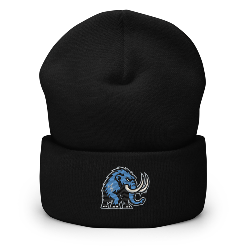 Twin Cities Tundra - Cuffed Beanie