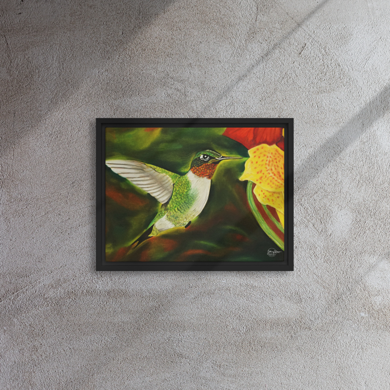 Hummingbird 2 Framed Canvas