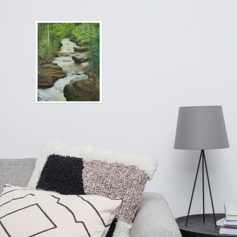 Baxter Waterfall Matte Print – 16″×20″