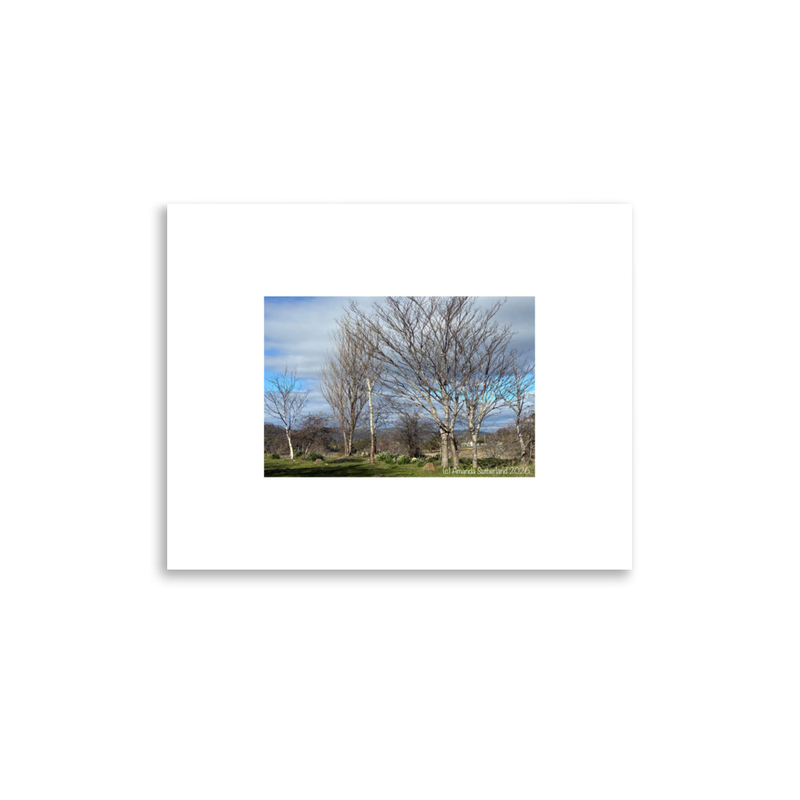 Hidden in Plain Sight Poster – 11″×14″