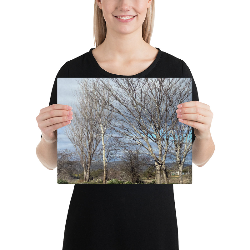 Hidden in Plain Sight Canvas Print – 11″×14″