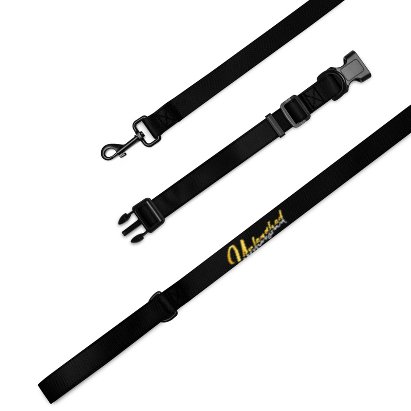 Pet collar & leash