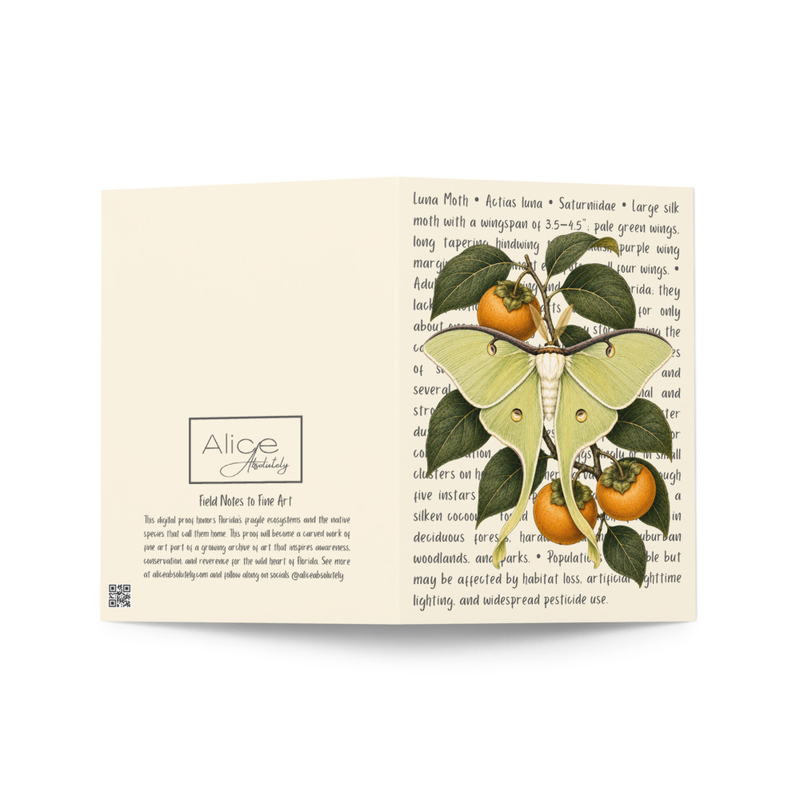 Luna Moth Greeting Card
