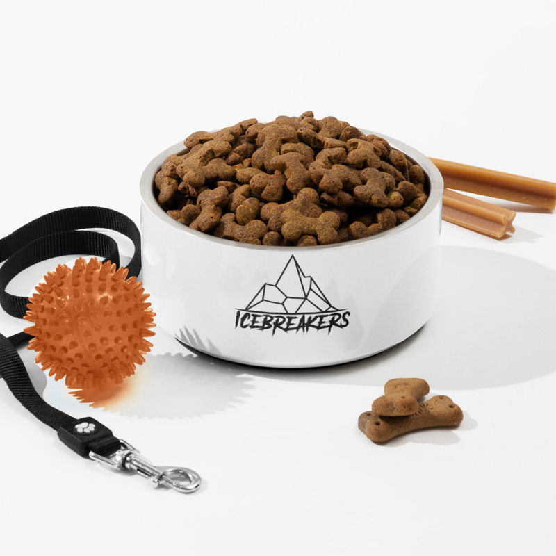 Icebreakers Pet bowl