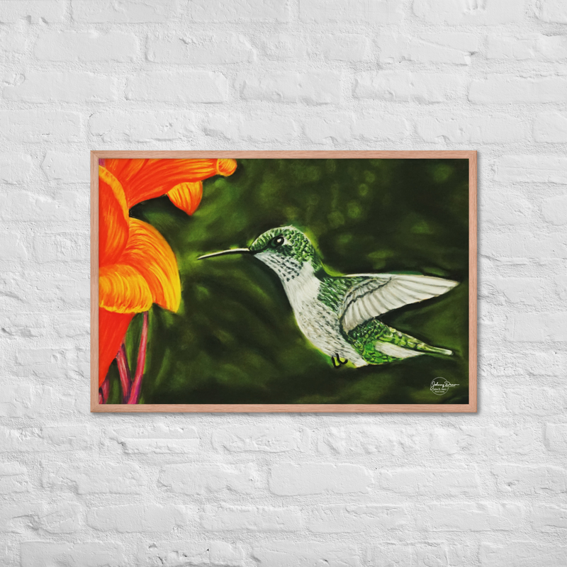 Hummingbird 1 Framed Print – Image 8