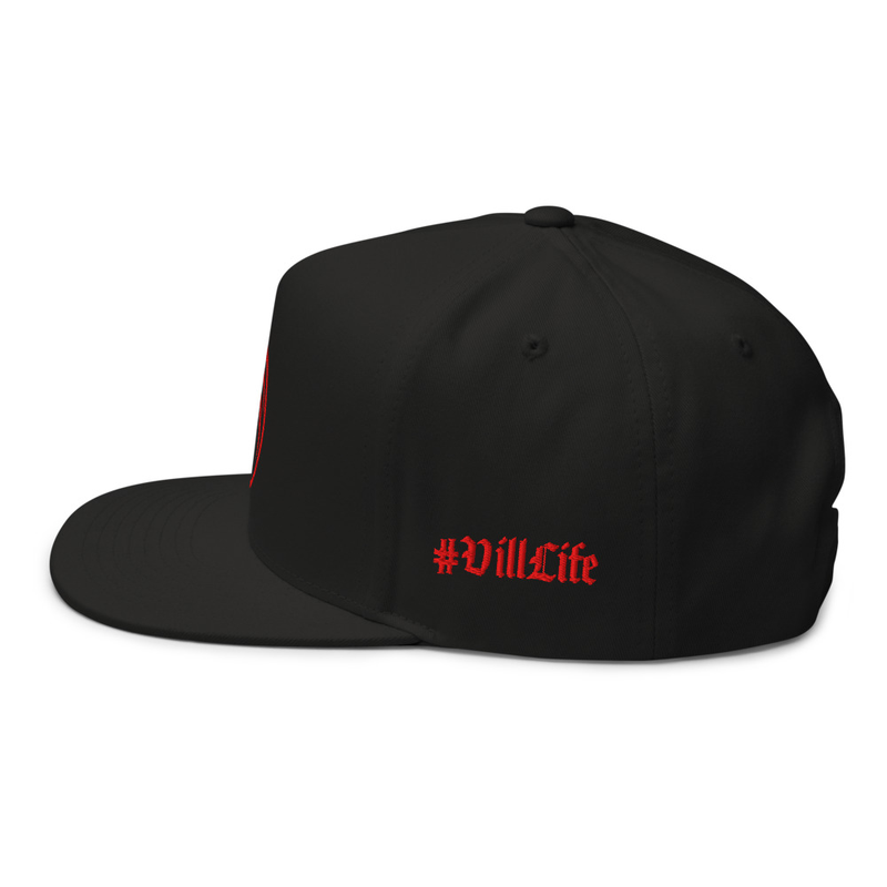 LEV- VillLife snapback
