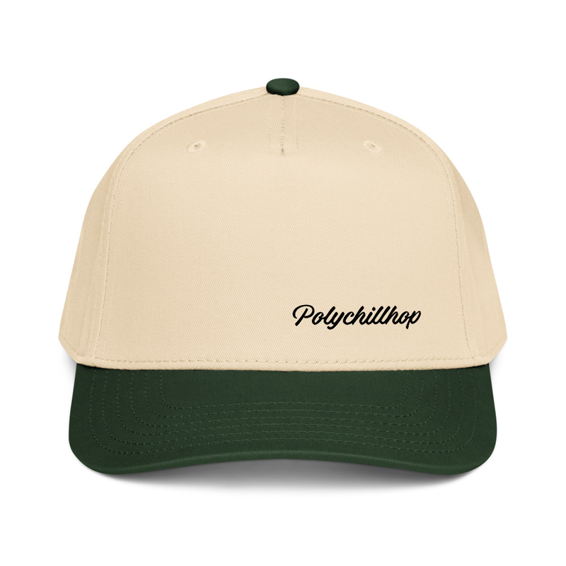 5 panel cap