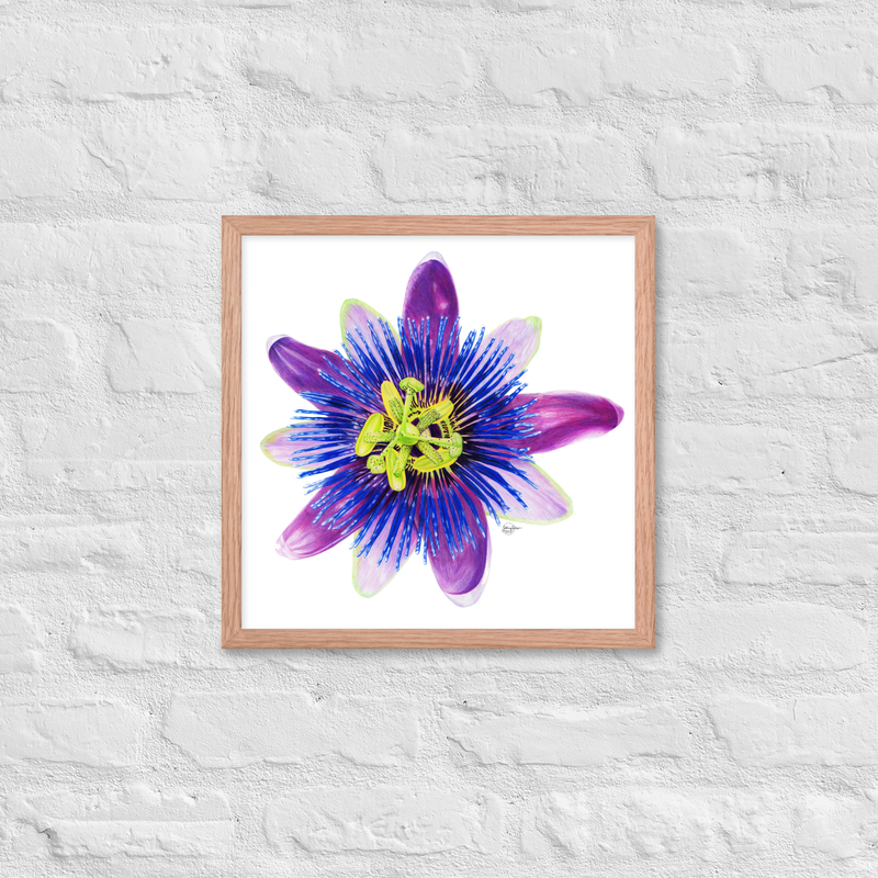 Passion For Life Framed Print