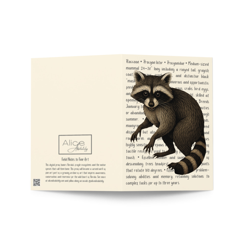Raccoon Greeting Card