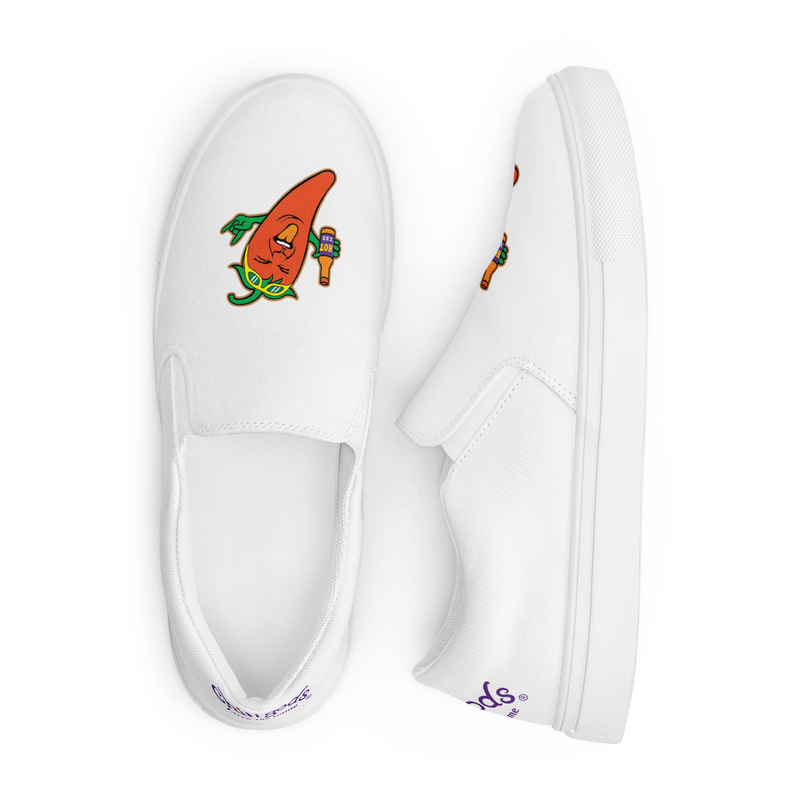 Men’s slip-on canvas shoes