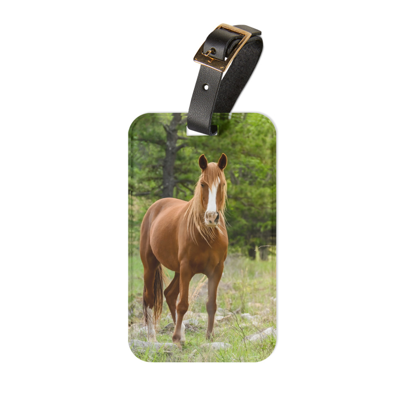 Sorrel Luggage tag