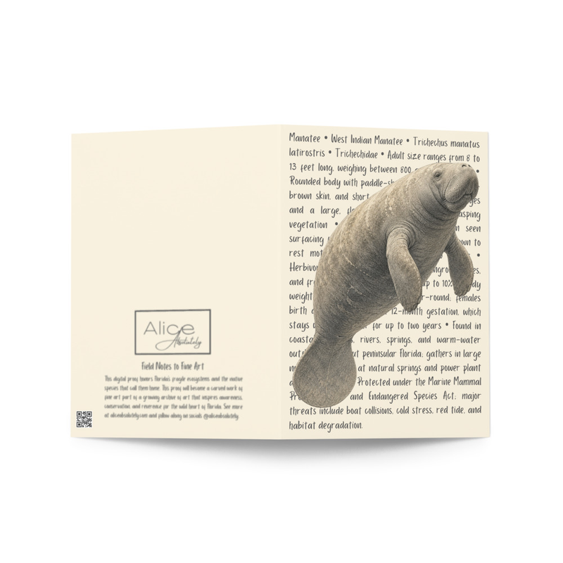 Manatee Greeting Card