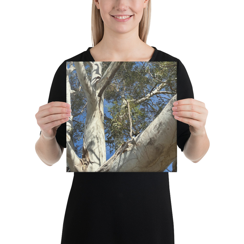 Choose Your Path Canvas Print – 12″×12″
