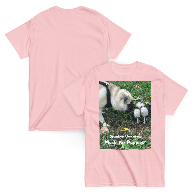 Unisex classic tee
