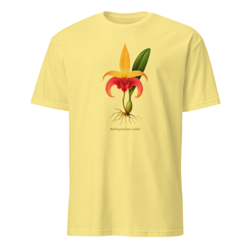 Bulbophyllum lobbii Shirt – S, Cornsilk