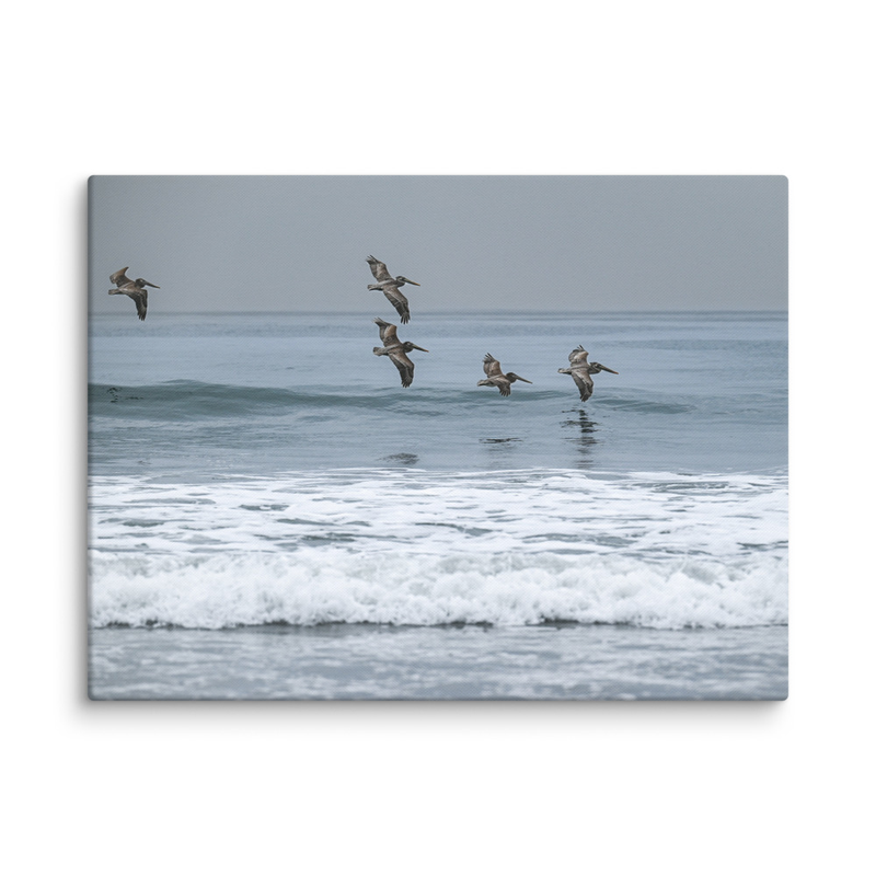 Ocean Flight Canvas