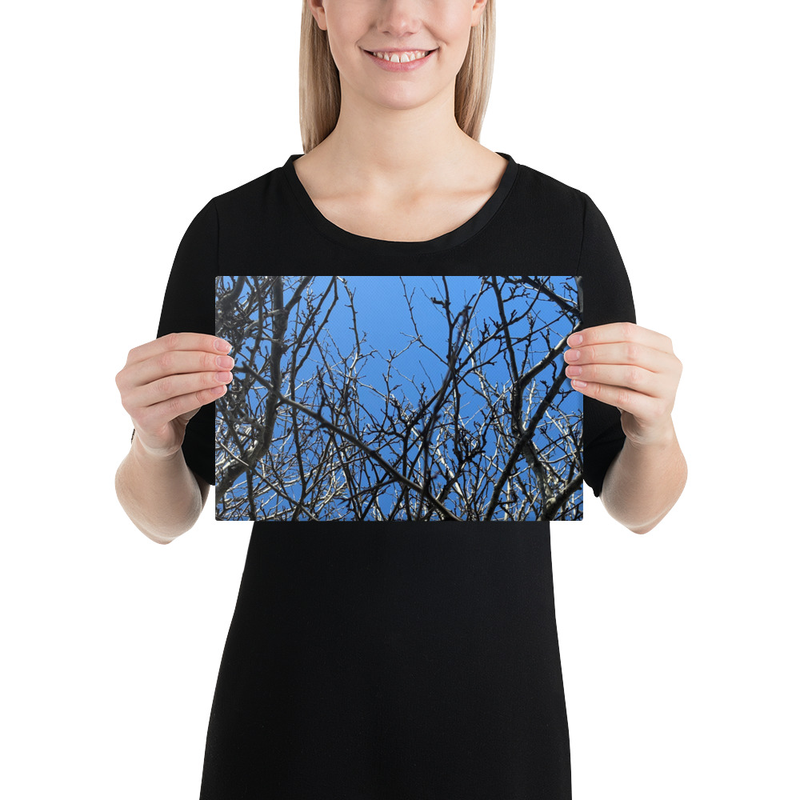 Branching Thoughts Canvas Print – 8″×12″