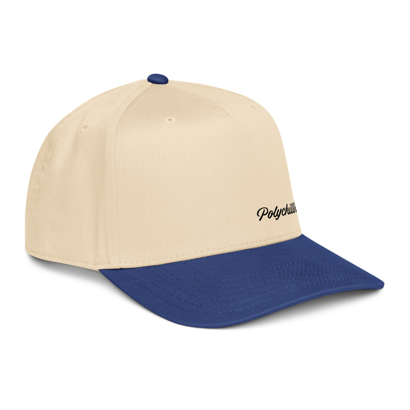 5 panel cap