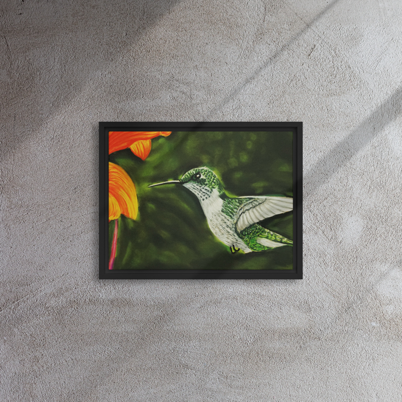 Hummingbird 1 Framed Canvas – 12″×16″, Black