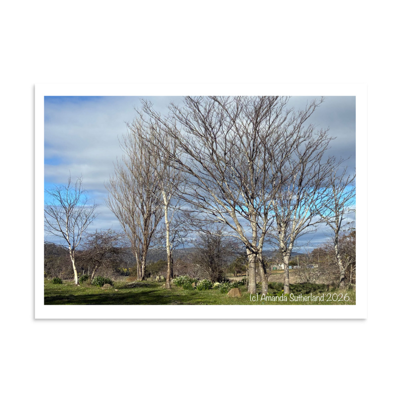 Hidden in Plain Sight Poster – 11.69″×16.54″