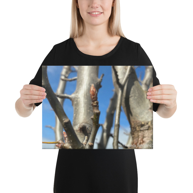 After the Cold Canvas Print – 12″×16″