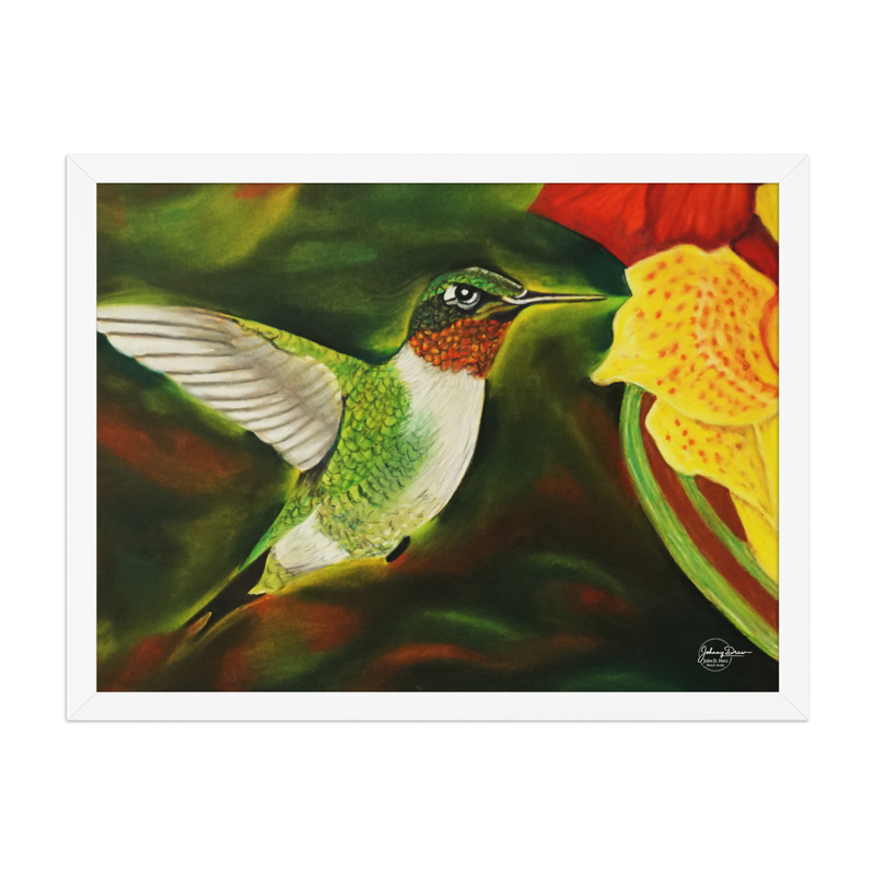 Hummingbird 2 Framed Print – 18″×24″, White