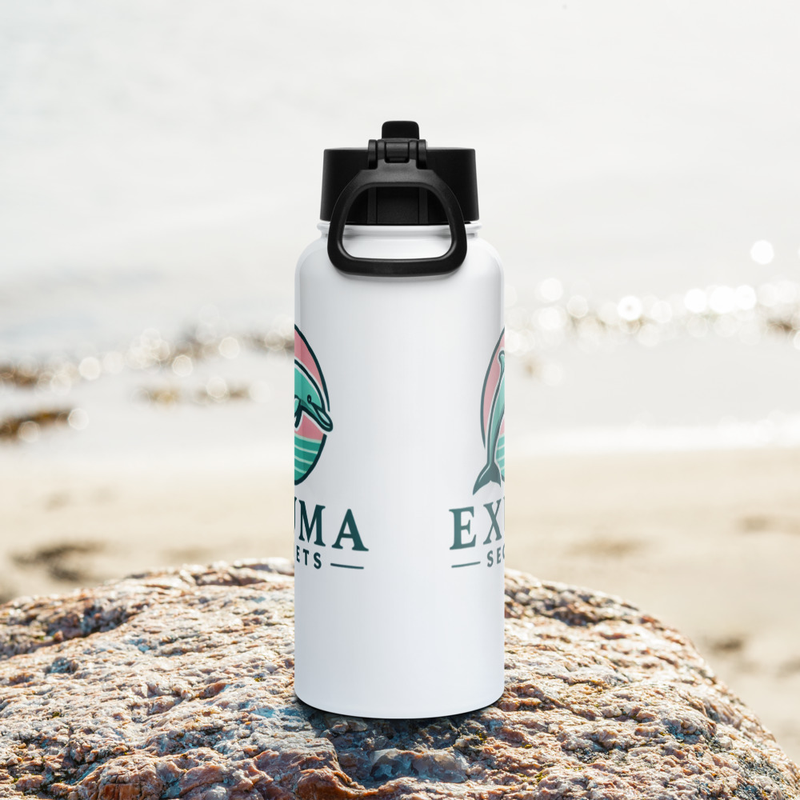 Dolphin Drift Stainless steel water bottle with a straw lid