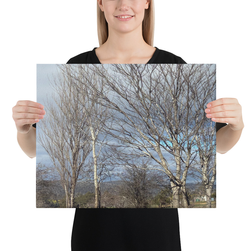 Hidden in Plain Sight Canvas Print – 16″×20″